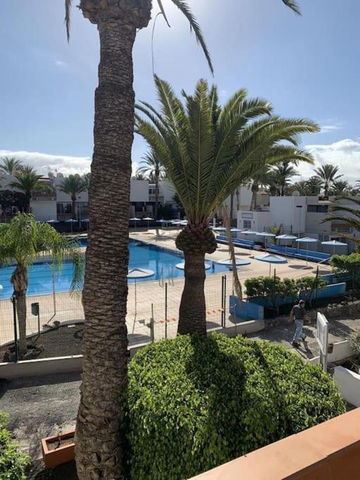 Lovely Apartment With Pool Costa Del Silencio Eksteriør bilde