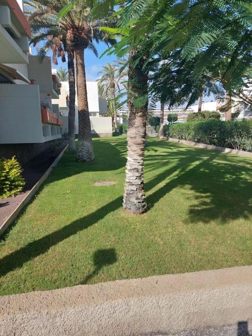 Lovely Apartment With Pool Costa Del Silencio Eksteriør bilde